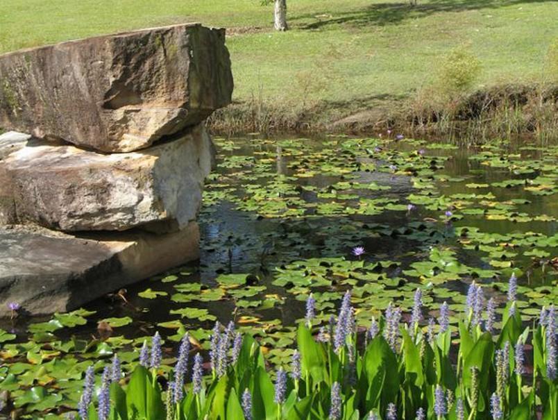 Tuckeroo Cottages & Gardens Rathdowney Exterior foto