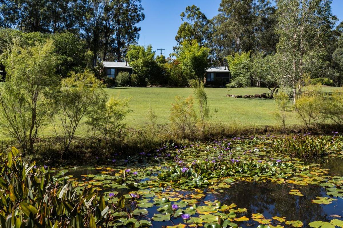 Tuckeroo Cottages & Gardens Rathdowney Exterior foto